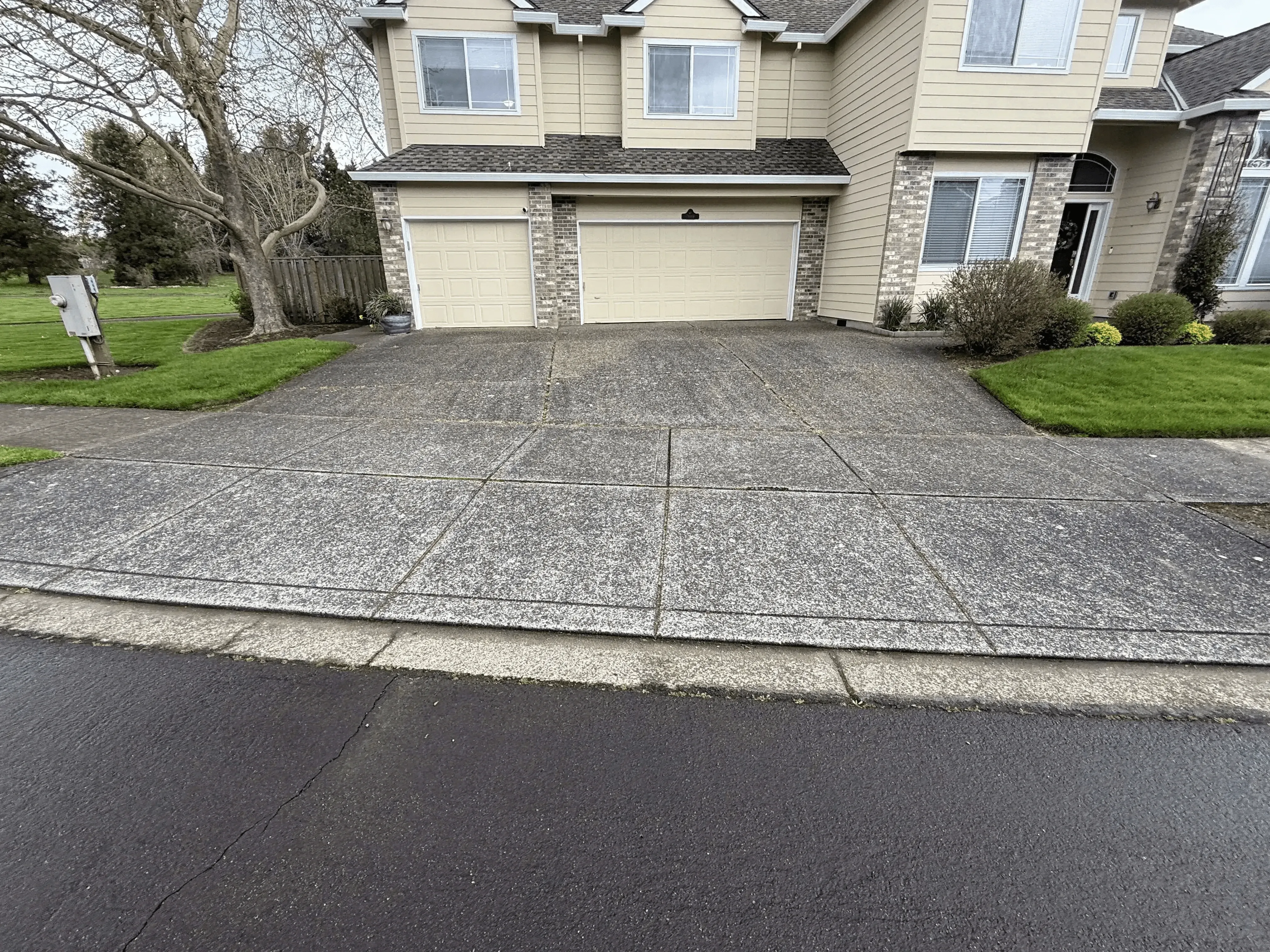 image - 3