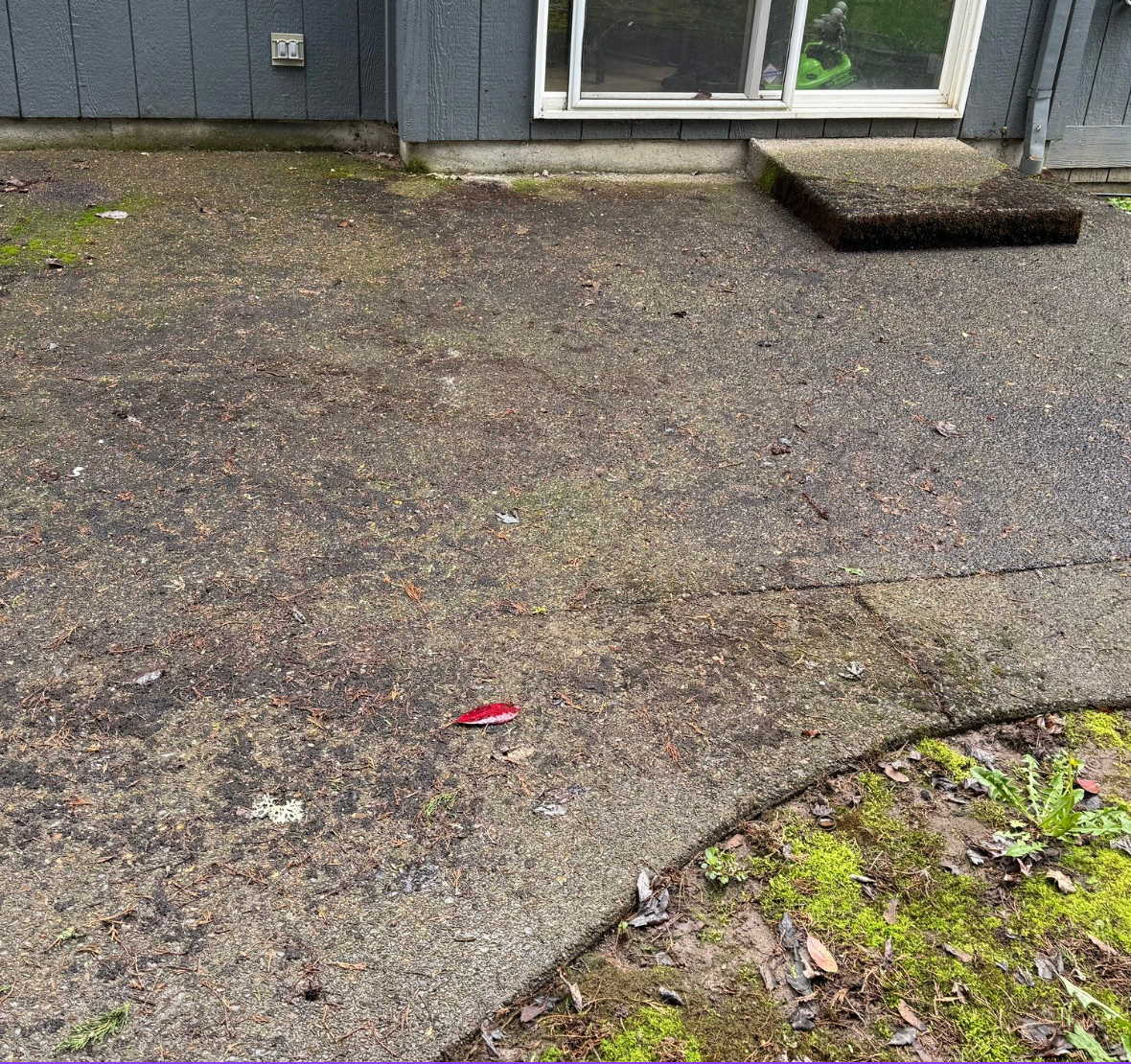 a patio in Beaverton, Oregon covered in algae and moss