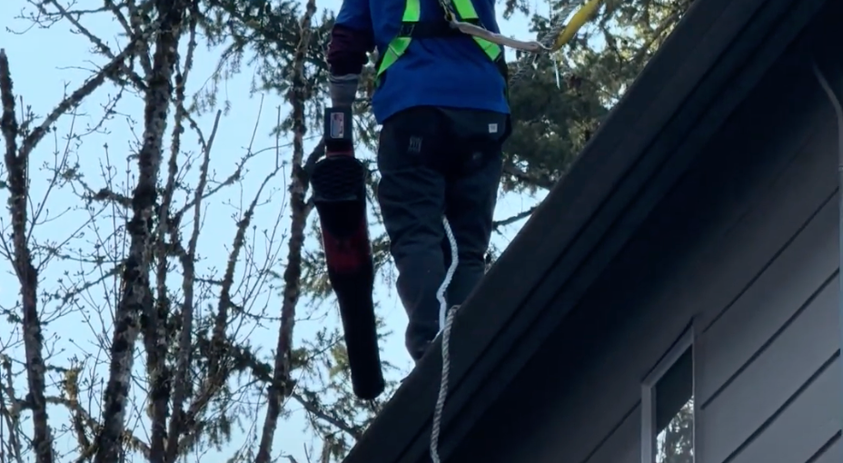 Gutter Cleaning