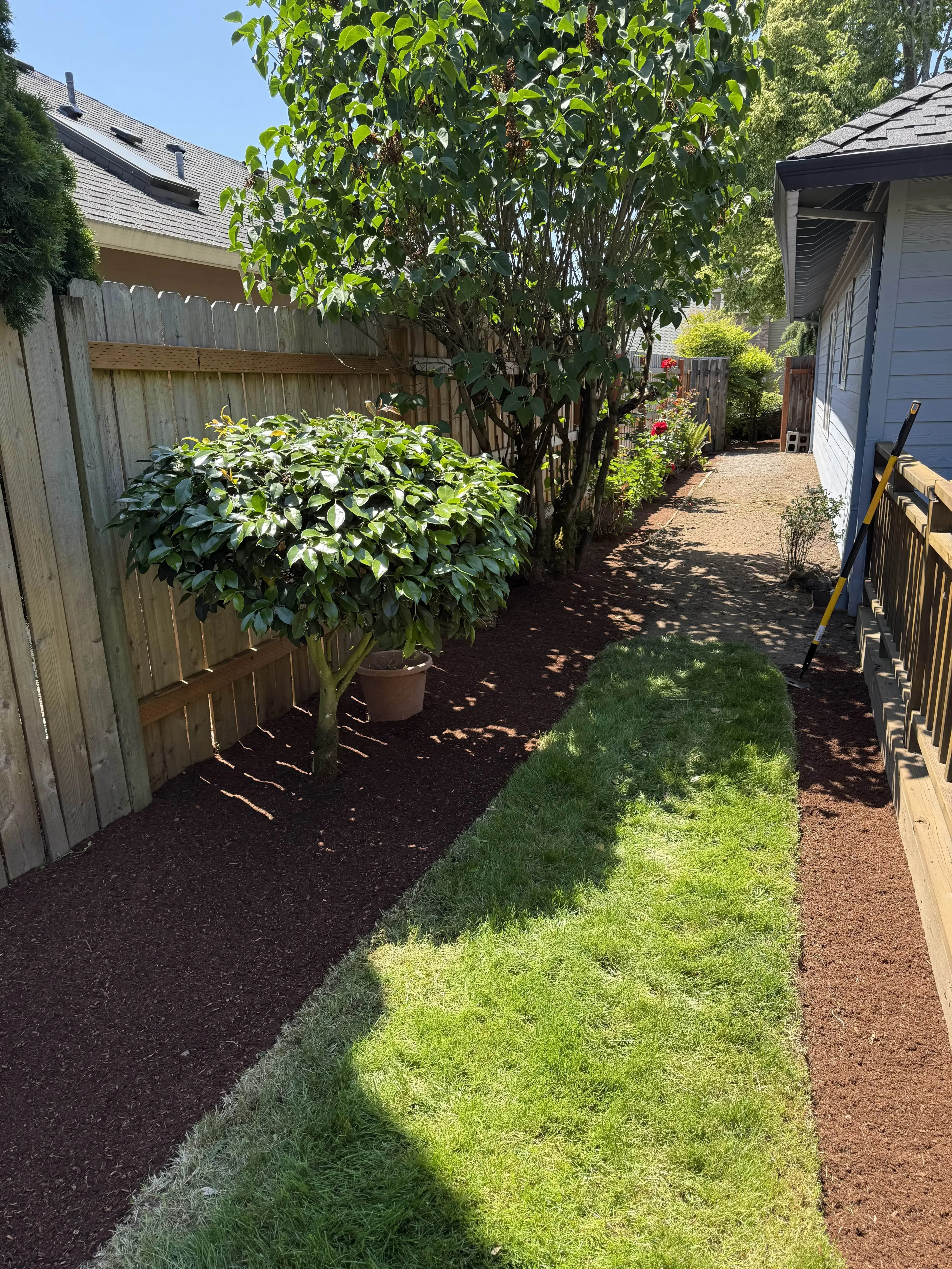 Lawn Edging
