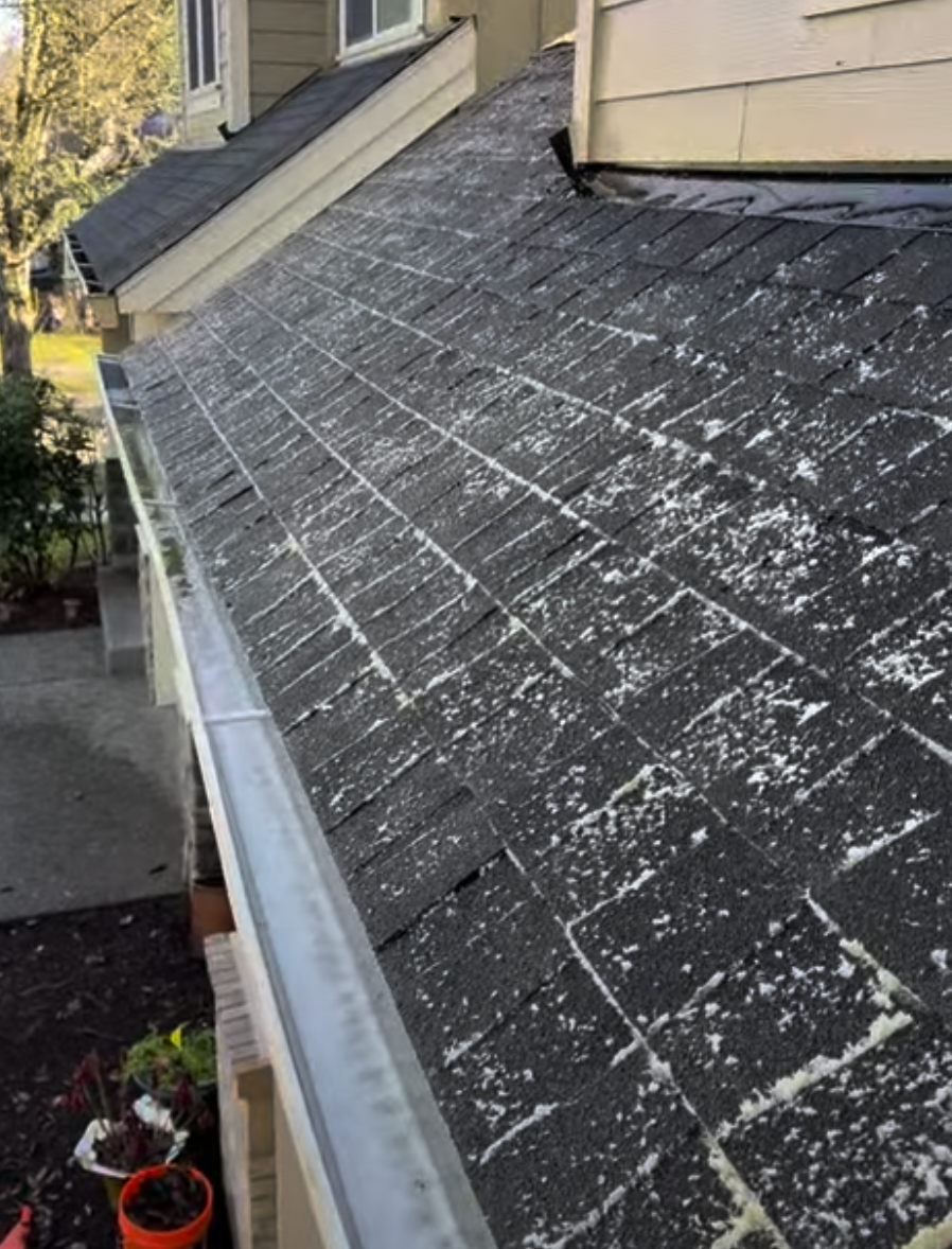 Roof Cleaning