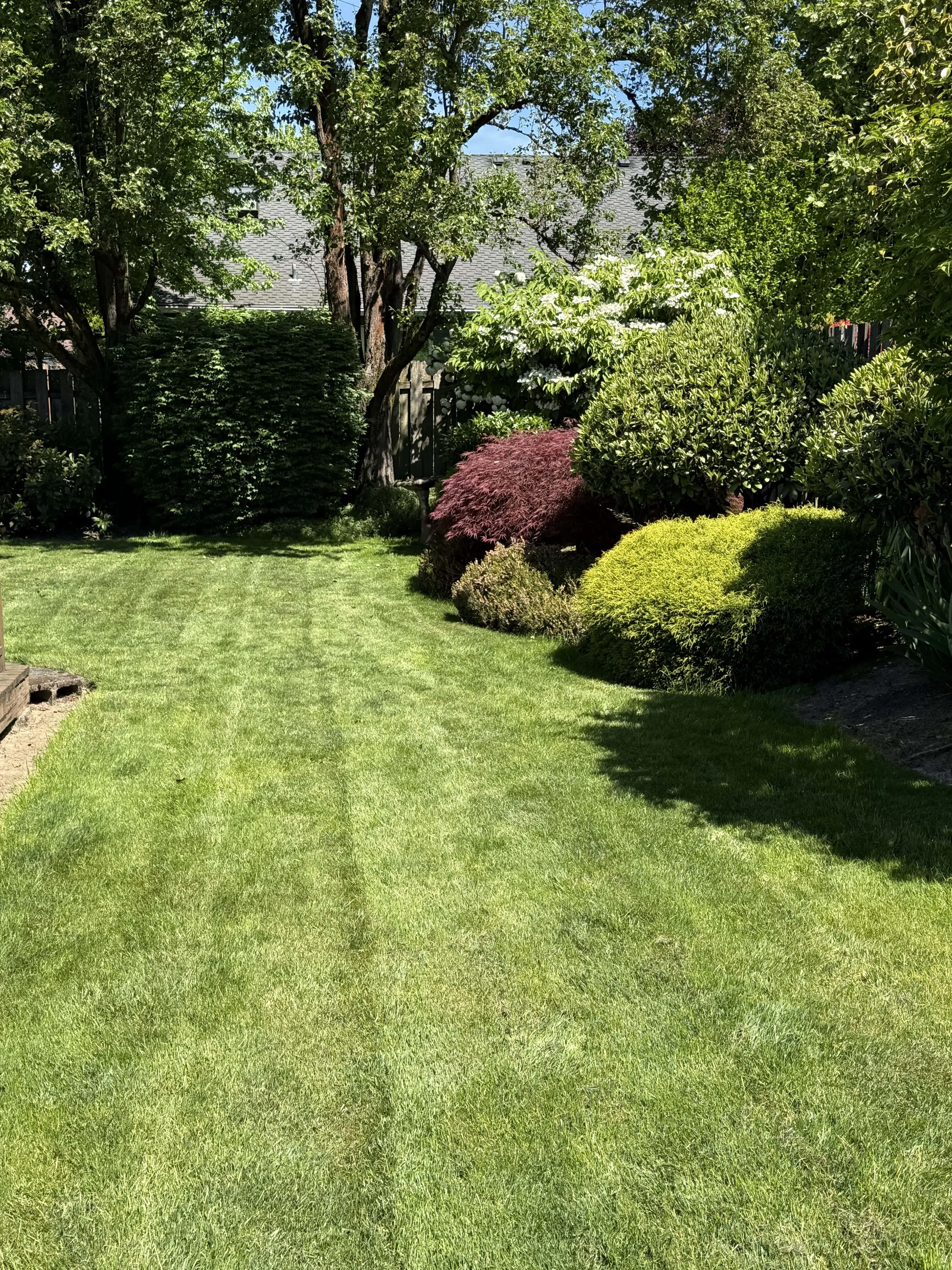 Tree & Shrub Care